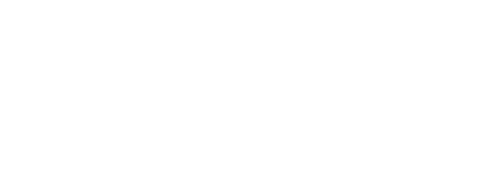 Holdei